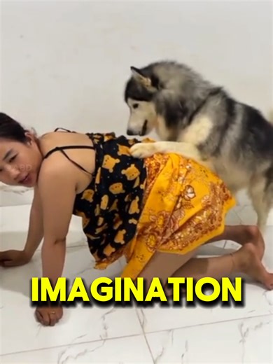 The Heartwarming Bond Between a Dog and His Human