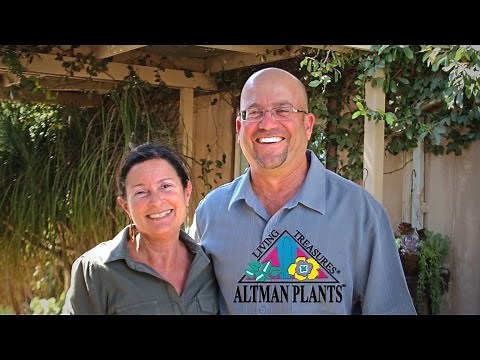 An Introduction to Altman Plants