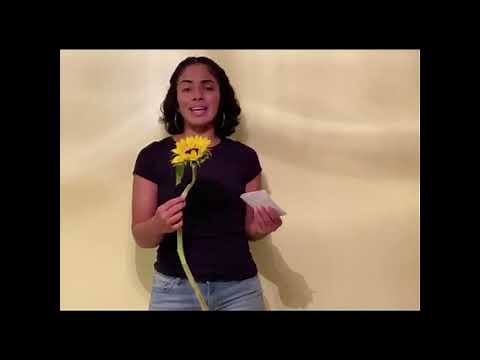 Self-introduction Speech #5--Jackie