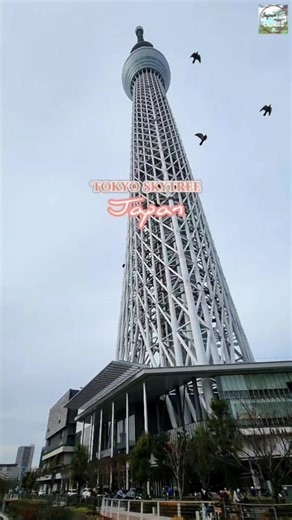 9.2K views · 236 reactions | This shot is so beautiful 梁 Tokyo Skytree | Japan ❤️ | Japan Explore | Facebook