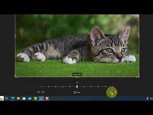 Windows 10 Photo Viewer Tutorial: Mastering Editing Tools & Techniques