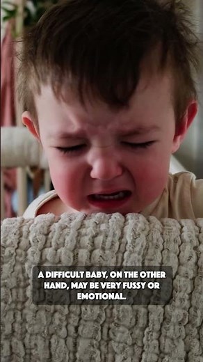 Baby Temperament in Psychology Development