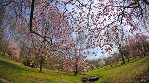 Ready for spring? Here's the Old Farmer's Almanac forecast and its winter prediction accuracy