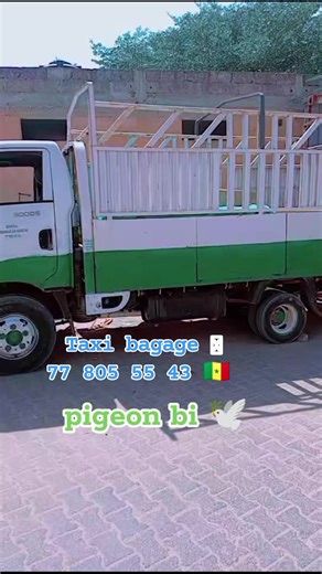 778055543 #taxi #Bagages | Pigeon bi