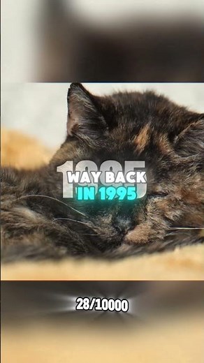 World's Oldest Cat: Flossie 🐈😱 (30 Years Old)