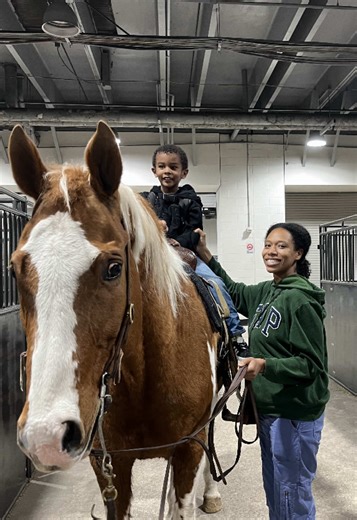Understanding the Houston Rodeo Experience