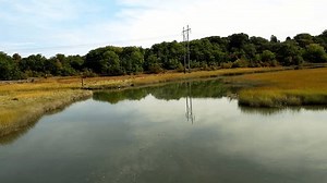 Fore River Sanctuary Portland Maine Larger Stock Footage Video (100% Royalty-free) 3622288065 | Shutterstock