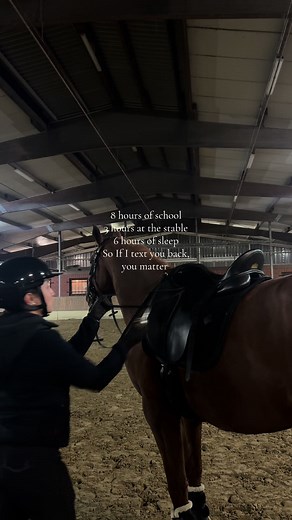 Habt ihr viel Freizeit? Reiten, Schule und Stallalltag erklärt