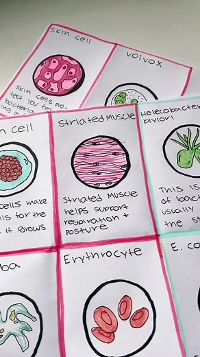 Create Stunning Biology Cell Posters Step-by-Step