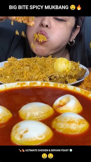 Big Bite Ultimate Spicy Biryani Feast 🌶️🤤 Whole Chicken Curry, Mutton Dum Biryani, Hyderabadi & more