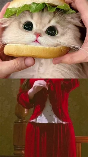 Full Bass Music for Beautiful Moments