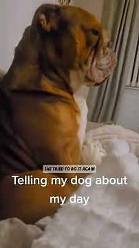 Dogs Understand Everything You Say 😂🐶 | Funniest Dog Game Moments