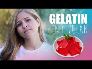 Do You Know Where Gelatin Comes from? | VegAnswers