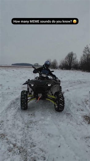 How many? 😅 #meme #atv #winter #funny #memes