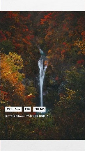 【EOS作品集】ショートムービー RF70-200mm F2.8 L IS USM Z【キヤノン公式】
