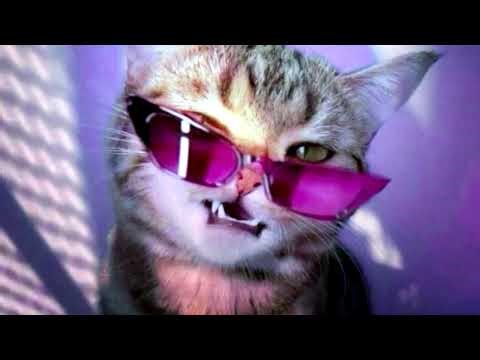 [EXTREMELY POWERFUL‼️] THE LUCKIEST PERSON ALIVE - Powerful Self Concept Overnight SubliminaL