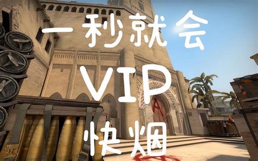 【CSGO】迷城快速VIP烟一看就会