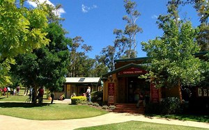 day015-选择排序-算法入门-C语言课堂