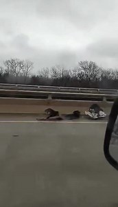 47K views · 453 reactions | I-474 | Peoria Area Scanner & Dashcam | Facebook
