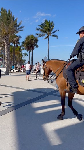 Espectacular la policía a caballo en la playa de Fort Lauderdale | Cuba en Miami