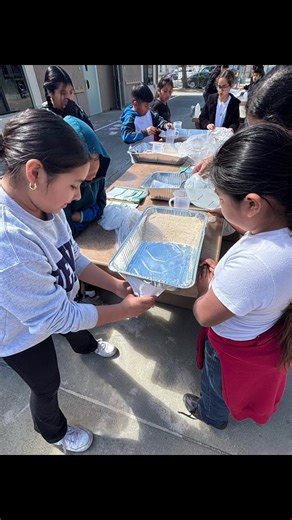 Understanding Earthquakes for 4th Graders