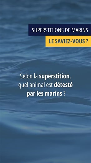 ❓ [Réponse devinette d'hier] ➡ Regardez la vidéo pour vérifier la réponse à la devinette & l'explication de la superstition. (Désolé on ne postera pas directement la réponse en commentaire car citer l'animal en question, c'est interdit sur L'#Hermione 🙊 et on respecte les règles 😅 ) 🏅 Bravo à ceux qui ont envoyé la bonne réponse en commentaire ou par message 👏 #devinette #jeu #enigme #enigmedujour #culturemaritime #viedemarin #Hermione | La frégate Hermione Lafayette
