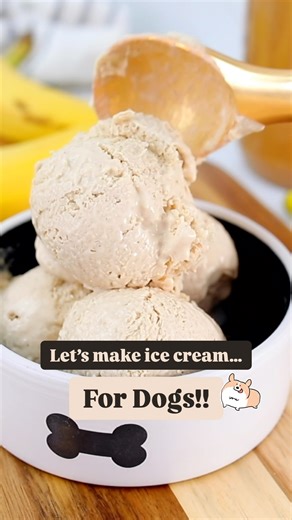 Homemade Dog Ice Cream 🍨🐶 Made with 3 Simple ingredients and no sugar added! Ingredients: 2 cups plain Greek yogurt 1 ripe banana 1/2 cup creamy peanut butter (WITHOUT xylitol) #homemadedogtreats #homemadedogtreats | The Soccer Mom Blog - Positive Inspiration for Moms