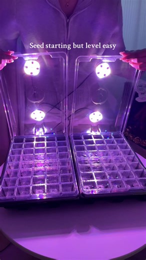 Revolutionary Seed Starting Trays for Beginners