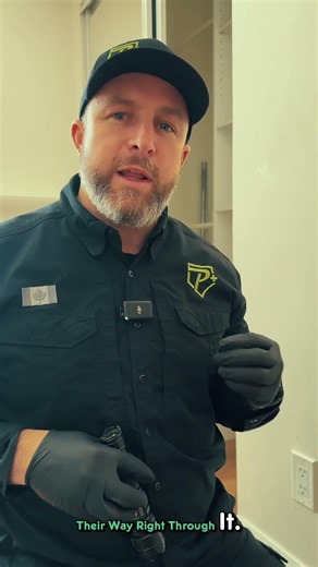 🥯 Rats can chew through drywall with ease when they're on a mission to expand their territory! 🐀🏠