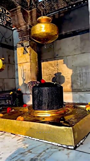 #Mahadev #Shorts #Kedarnath #Bholenath #Mahakal #ShivJi #HarHarMahadev #Bhakti #trending