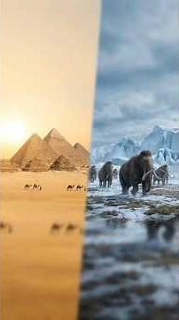 Mammoths Lived When the Pyramids Were Built#evolution #facts #wildlife #animals #animalfacts #shorts