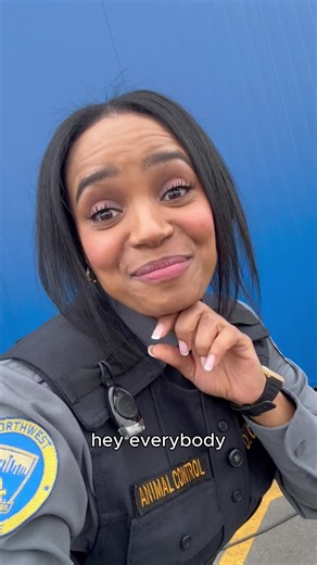 everyone say thank you for the sneak peek 😉 the #animalcontrolfox season 4 special premiere arrives sunday, december 28 on #FOX & on @hulu next day! #horse #animals #funny