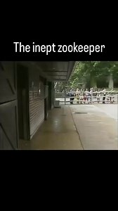 #thefastshow #fastshow | The Fast Show