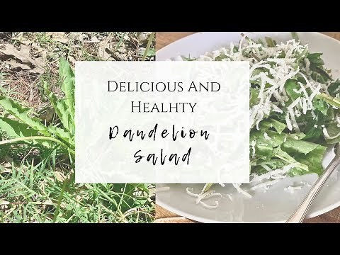 Delicious and Healthy Dandelion Salad