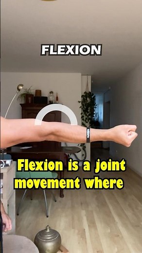 Flexion & Extension (Anatomical movement) #movement #mobility #anatomy #flexion #extension