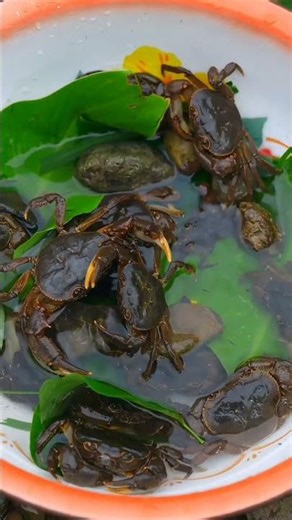 Cooking food blog 🍳 🤤 #cooking #cookingvideo #cookingchannel #food #foodie #foodshorts #foodblogger