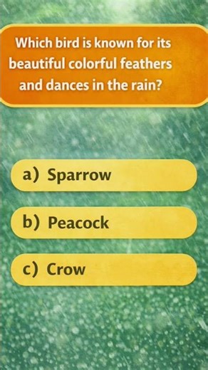 How Smart Are You? 🦚 Rain Dance Trivia!