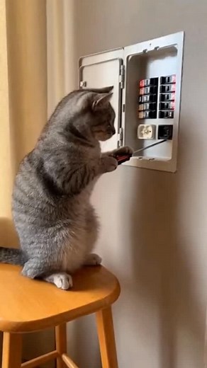 1.6K views · 57 reactions | A hyper-realistic cinematic video of a...