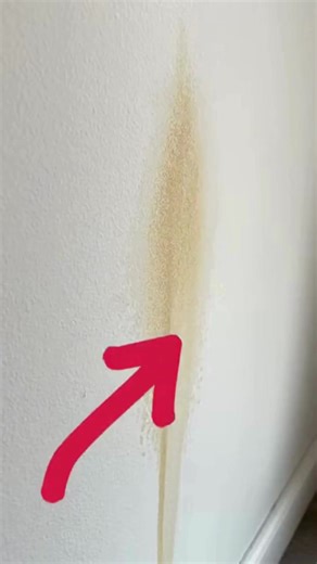 Comment réparer un mur touché par l’humidité ? Une méthode facile, rapide et super efficace | Amour et Santé