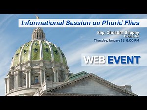 Informational Session on Phorid Flies