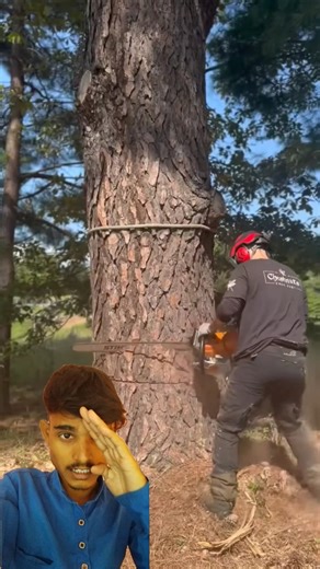 #wood #wooddesigner #chainsaw #woodscraft #satisfying
