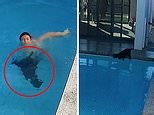 Wild moment dog owner jumps into pool TWICE to save pooch