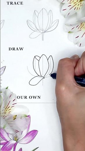 P.O.V draw a crocus flower with me in easy stages ✨