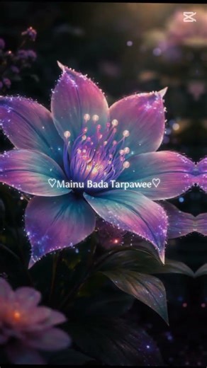 jo akh lar Jave #pleasesubscribeme #viralvideo