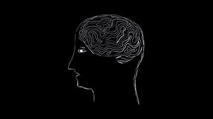 Download Human brain illustration designed with pencil ink on black background for free