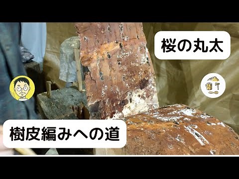 【樹皮編み】桜の木から樹皮を剥ぐだけの動画｜わかるグリーンウッドワークvol.11"CHERRY BARK"