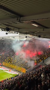 Pyroshow zu 25 Jahren #Desperados #Dortmund beim Auswärtsspiel des #BVB bei #Mainz05. Die Bilder der Aktion findet ihr auf Faszination-Fankurve.de unter Foto-Updates. #M05BVB 🎥: @suchenachdemkick | Faszination Fankurve