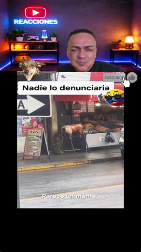 Try Not to Laugh Challenge 212 #funny #shorts #viral #trynotlaugh #jeffreyxreacts