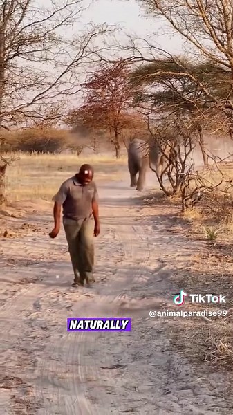 Explore Fascinating Animal Facts and Knowledge