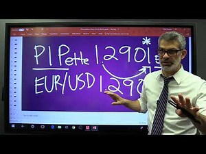 Lesson 5: What is a pip?